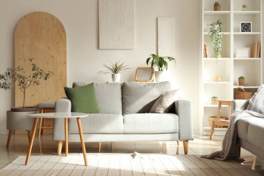 Yeşil bitkilerle, raf ünitesi ve kanepeyle aydınlık oturma odasının içinde.