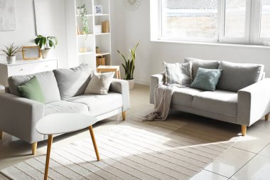 Yeşil bitkiler ve kanepelerle aydınlık oturma odasının içinde.