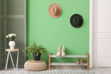 Yeşil duvarın yanındaki güzel salonun içinde bank, ayakkabı ve çiçek var.