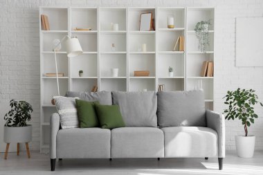 Işıl ışıl oturma odasının içinde rahat gri kanepe, ev bitkileri ve kitaplık