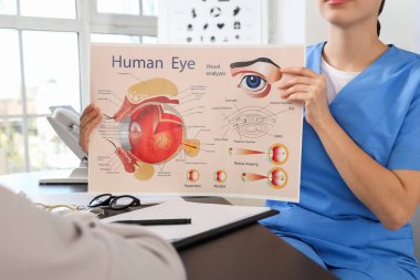 Kadın göz doktoru klinikteki küçük kıza göz yapısını gösteriyor.