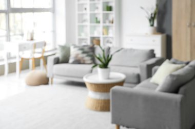 Gri kanepeleri, bitkileri ve masası olan bulanık oturma odası manzarası