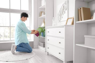 Genç adam evde bitki yapraklarını siliyor.