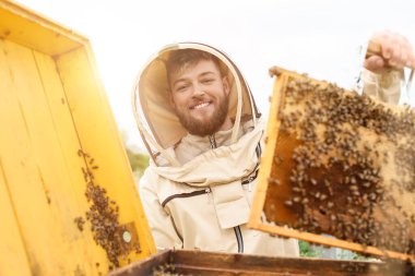 Beekeeper working at his apiary clipart