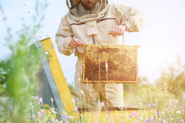 Beekeeper working at his apiary clipart