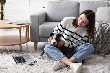Evde dizüstü bilgisayarı olan güzel bir bayan ve şirin bir teriyer köpeği var.