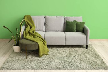 Yastıklı, battaniyeli ve yeşil duvarlı şık gri kanepe.