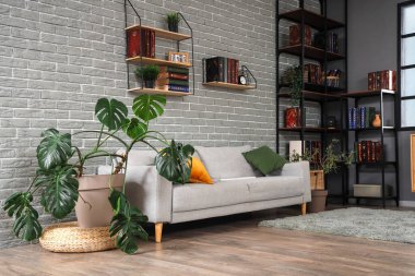 Oturma odasının içinde kanepe ve kitap rafları var.