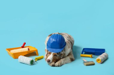 Mavi arka planda sevimli köpek ve dekoratör araçları