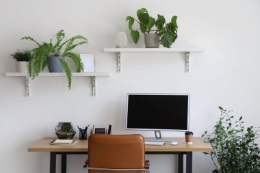 Çalışma alanı, raflar ve yeşil ev bitkileriyle birlikte ofis içi