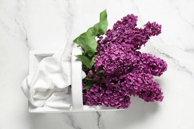 Beyaz arka planda çiçek açan leylak rengi sepet.