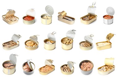 Beyaz arka planda lezzetli konserve balık seti