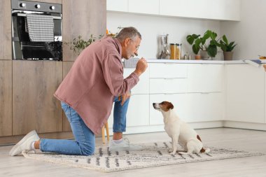 Mutfakta Jack Russell teriyeri olan olgun bir adam.