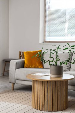 Oturma odasının içinde kahve masası ve kanepenin üzerinde bambu sapları var.