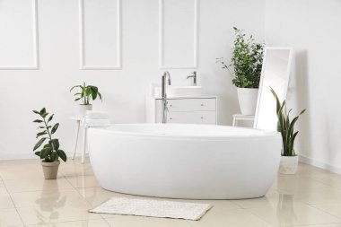 Küveti, lavabosu ve bitkileri olan hafif banyonun içi.