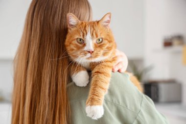 Mutfakta tatlı kırmızı kedisi olan genç bir kadın, yakın plan.