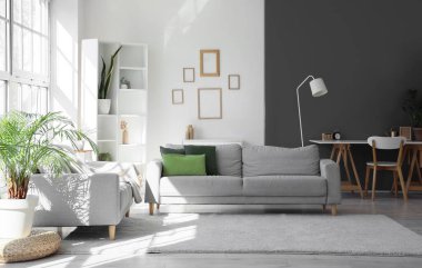 Büyük pencerenin yanında rahat gri kanepeleri olan aydınlık oturma odasının içinde.