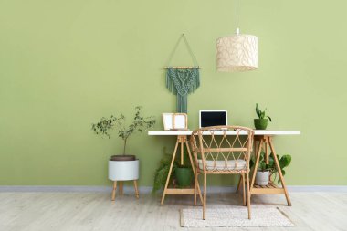 Ofis içi işyeri ve yeşil ev bitkileri