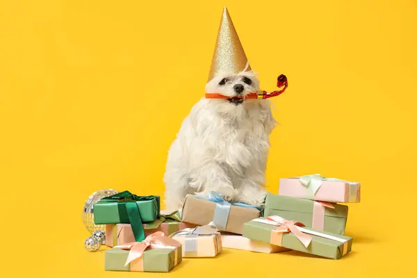 Cute Bolognese Dog Party Hat Whistle Celebrating Birthday Yellow Background Royaltyfria Stockfoton