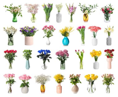 Beyaz arkaplandaki vazolarda bir sürü farklı çiçek var.