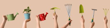Many hands holding gardening supplies and plant on beige background