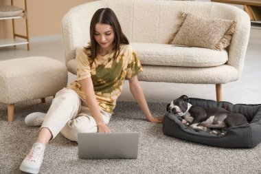 Beautiful young woman with laptop and cute staffordshire terrier puppy on pet bed at home