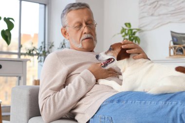 Evdeki kanepede tatlı Jack Russell teriyeri olan olgun bir adam yatıyor.