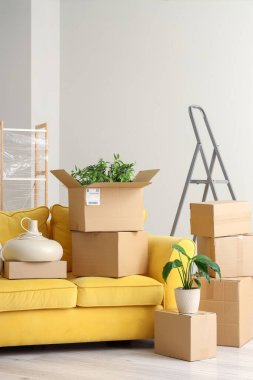 Karton kutular ve kanepe aydınlık oturma odasında taşınmak için hazırlandı.