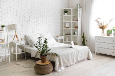 Interior of light bedroom with houseplant and laptop on white bed