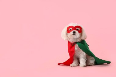Cute little dog in superhero costume on pink background