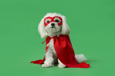 Yeşil arka planda süper kahraman kostümlü şirin bir köpek.