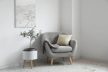 Gri koltuklu, bitki ve boyalı, aydınlık oturma odasının içi.