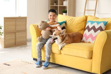 Little happy Asian boy with cute Corgi dog and teddy bear sitting on sofa at home