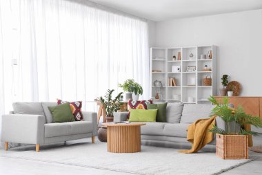 Interior of living room with sofas, shelf unit and green plants