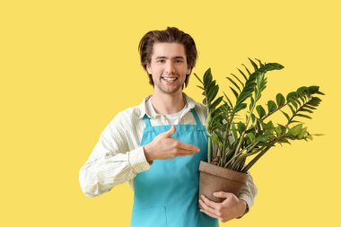 Handsome gardener with plant on yellow background