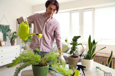 Handsome man watering plants on table at home