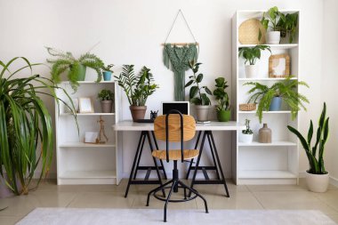 Interior of light office with workplace, shelf units and green houseplants
