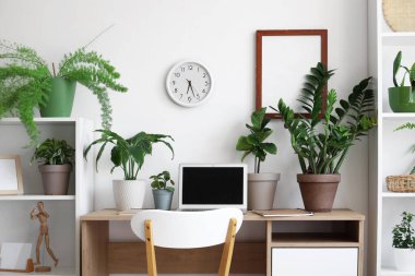 Interior of light office with workplace, shelf units and houseplants
