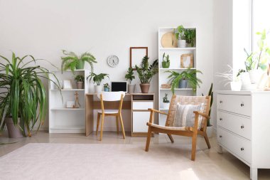 Interior of light office with workplace, shelf units and houseplants