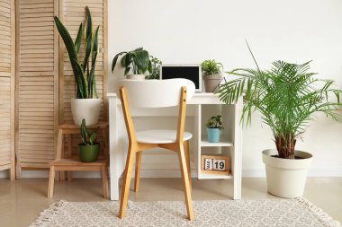 Ofiste ışıklı duvarın yanında dizüstü bilgisayarı ve yeşil bitkileri olan bir işyeri