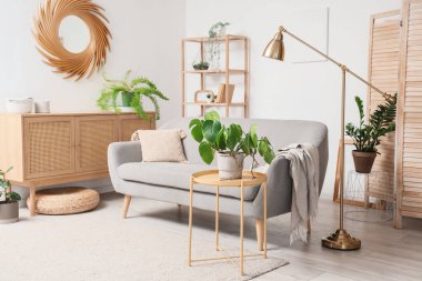 Interior of stylish living room with grey sofa, drawers and houseplants