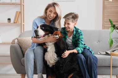 Little boy and his mother with Bernese mountain dog sitting on sofa at home