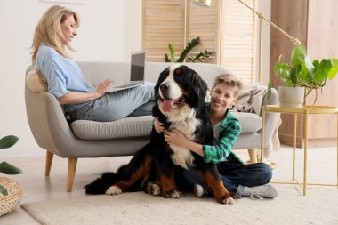 Little boy hugging Bernese mountain dog and his mother with laptop at home