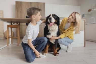 Little boy and his mother with Bernese mountain dog in kitchen