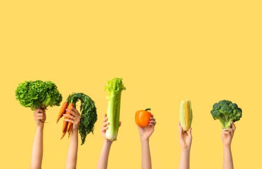 Female hands holding fresh vegetables on yellow background