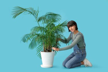 Güzel bayan bahçıvan mavi arka planda palmiye ağacıyla ilgileniyor.