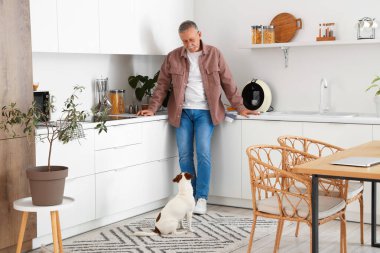 Mutfakta Jack Russell teriyeri olan olgun bir adam.