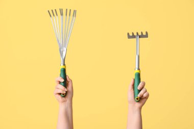 Sarı arka planda bahçıvan tırmıkları olan kadın eller, yakın plan.