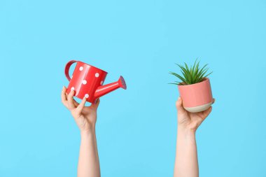 Sulama kabı olan kadın eller ve renkli arka planda saksı bitkisi, yakın plan
