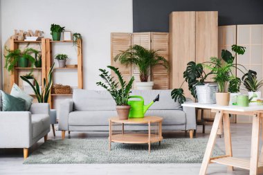 Oturma odasında farklı bitkiler var.